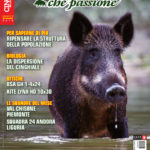 Cinghiale che Passione agosto-settembre 2018 in edicola dal 28 luglio cinghiale che passione agosto-settembre 2018
