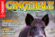 Cinghiale che Passione agosto-settembre 2018 in edicola dal 28 luglio cinghiale che passione agosto-settembre 2018