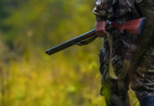 Caretta presenta alla Camera proposta per punire il disturbo venatorio cacciatore con fucile disturbo venatorio