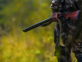 Caretta presenta alla Camera proposta per punire il disturbo venatorio cacciatore con fucile disturbo venatorio