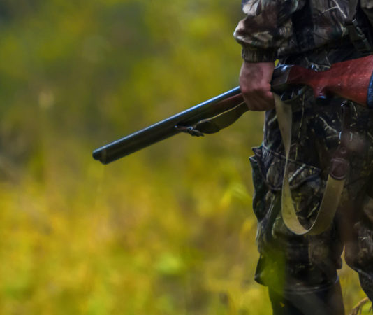 Caretta presenta alla Camera proposta per punire il disturbo venatorio cacciatore con fucile disturbo venatorio