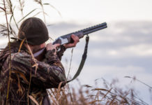 Il governo impugna la legge sulla caccia del Piemonte cacciatore di spalle: legge sulla caccia del Piemonte