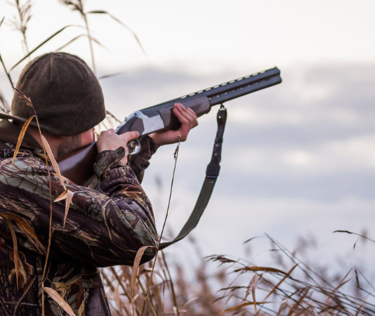 Il governo impugna la legge sulla caccia del Piemonte cacciatore di spalle: legge sulla caccia del Piemonte