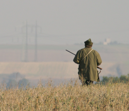 Editoriale: “Si comincia” editoriale