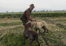 Editoriale: “Stagioni di caccia” editoriale stagioni di caccia