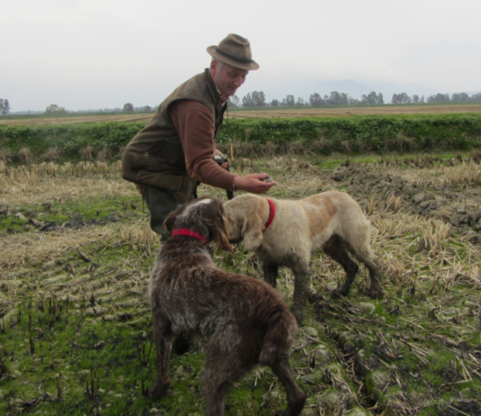 Editoriale: “Stagioni di caccia” editoriale stagioni di caccia