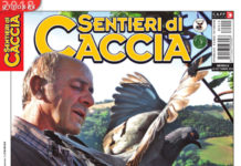 Sentieri di Caccia ottobre 2018 in edicola dal 28 settembre Sentieri di Caccia ottobre 2018