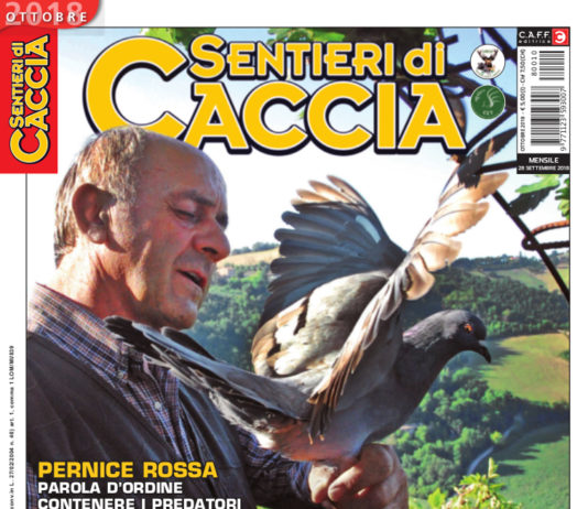 Sentieri di Caccia ottobre 2018 in edicola dal 28 settembre Sentieri di Caccia ottobre 2018
