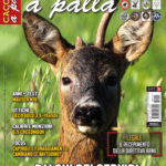Cacciare a Palla novembre 2018 in edicola dal 17 ottobre Cacciare a Palla novembre 2018