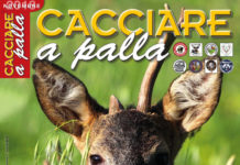 Cacciare a Palla novembre 2018 in edicola dal 17 ottobre Cacciare a Palla novembre 2018