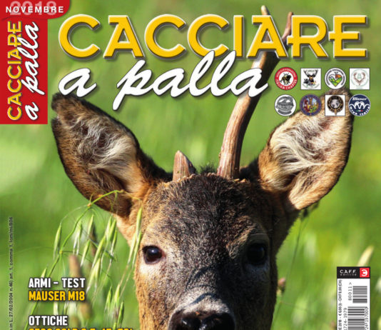 Cacciare a Palla novembre 2018 in edicola dal 17 ottobre Cacciare a Palla novembre 2018