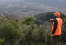 Il Tar smonta il calendario venatorio della Liguria