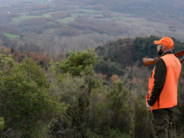 Il Tar smonta il calendario venatorio della Liguria