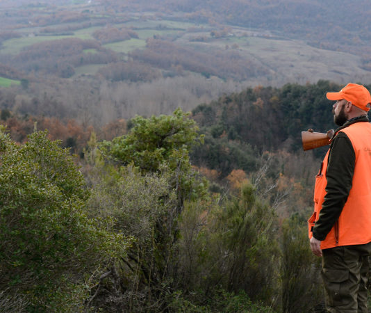Il Tar smonta il calendario venatorio della Liguria