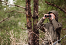 A caccia di domenica: nuovo attacco dal consiglio dell’Emilia Romagna Cacciatore con fucile e binocolo nella foresta