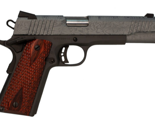 Pistole semiautomatiche: un nuovo disegno per la Citadel M-1911 Pistola semiautomatica Citadel M-1911 Laser Etched Madagascar