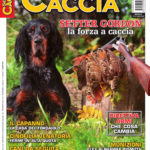Sentieri di Caccia novembre 2018 in edicola dal 27 ottobre Sentieri di Caccia novembre 2018