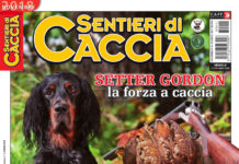 Sentieri di Caccia novembre 2018 in edicola dal 27 ottobre Sentieri di Caccia novembre 2018