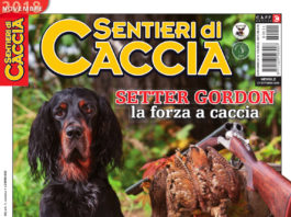 Sentieri di Caccia novembre 2018 in edicola dal 27 ottobre Sentieri di Caccia novembre 2018