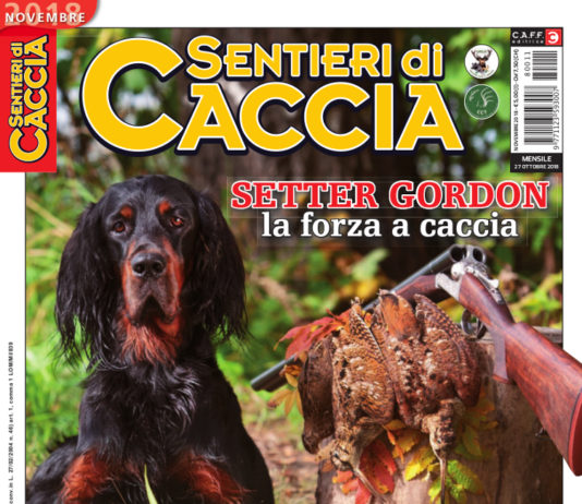 Sentieri di Caccia novembre 2018 in edicola dal 27 ottobre Sentieri di Caccia novembre 2018