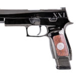 Sig Sauer M17