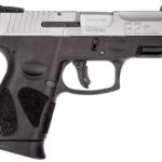 Taurus G2C stainless steel