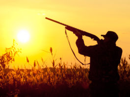 Il ministro dell’Ambiente contro la caccia di domenica cacciatore al tramonto