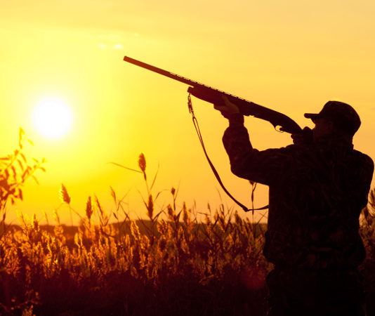 Il ministro dell’Ambiente contro la caccia di domenica cacciatore al tramonto