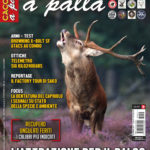 Cacciare a Palla dicembre 2018 in edicola dal 17 novembre Cacciare a Palla dicembre 2018