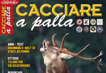Cacciare a Palla dicembre 2018 in edicola dal 17 novembre Cacciare a Palla dicembre 2018