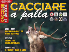 Cacciare a Palla dicembre 2018 in edicola dal 17 novembre Cacciare a Palla dicembre 2018