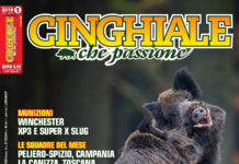 Cinghiale che Passione dicembre 2018 – gennaio 2019 in edicola dal 17 novembre Cinghiale che Passione dicembre 2018 - gennaio 2019