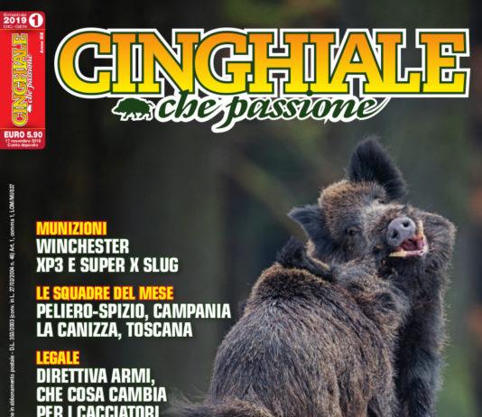 Cinghiale che Passione dicembre 2018 – gennaio 2019 in edicola dal 17 novembre Cinghiale che Passione dicembre 2018 - gennaio 2019