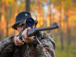 Controllo della fauna selvatica e cacciatori: nuova sentenza della Corte costituzionale cacciatore imbraccia carabina: niente controllo della fauna selvatica