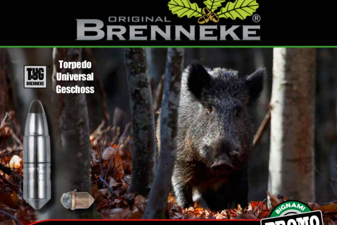 cartucce per cinghiale brenneke bignami