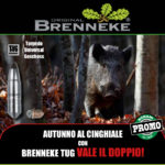 cartucce per cinghiale brenneke promozione bignami