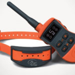 sport dog sport trainer SD-1275E collare educativo per cani