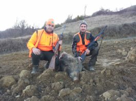 Le risorse della caccia: un esempio da seguire risorse della caccia