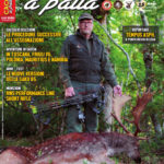 Cacciare a Palla gennaio 2019 in edicola dal 15 dicembre Cacciare a Palla gennaio 2019