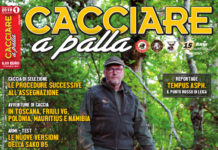 Cacciare a Palla gennaio 2019 in edicola dal 15 dicembre Cacciare a Palla gennaio 2019