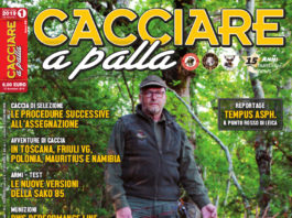Cacciare a Palla gennaio 2019 in edicola dal 15 dicembre Cacciare a Palla gennaio 2019