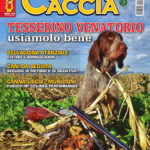 Sentieri di Caccia gennaio 2019 in edicola dal 29 dicembre Sentieri di Caccia gennaio 2019