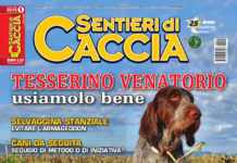 Sentieri di Caccia gennaio 2019 in edicola dal 29 dicembre Sentieri di Caccia gennaio 2019