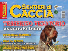 Sentieri di Caccia gennaio 2019 in edicola dal 29 dicembre Sentieri di Caccia gennaio 2019