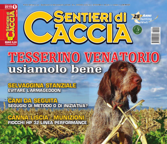 Sentieri di Caccia gennaio 2019 in edicola dal 29 dicembre Sentieri di Caccia gennaio 2019
