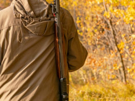 Specie cacciabili: il ministero dell’Agricoltura vuole riprendersi le proprie competenze Specie cacciabili: cacciatore nel bosco, di spalle, con fucile a tracolla