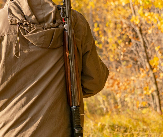 Specie cacciabili: il ministero dell’Agricoltura vuole riprendersi le proprie competenze Specie cacciabili: cacciatore nel bosco, di spalle, con fucile a tracolla