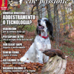Beccacce che Passione n° 1 gennaio-febbraio 2019, in edicola Beccacce che Passione n° 1 gennaio-febbraio 2019