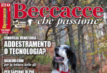 Beccacce che Passione n° 1 gennaio-febbraio 2019, in edicola Beccacce che Passione n° 1 gennaio-febbraio 2019