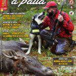 Cacciare a Palla febbraio 2019 in edicola dal 18 gennaio Cacciare a Palla febbraio 2019